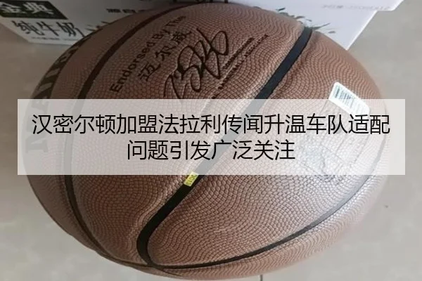 汉密尔顿加盟法拉利传闻升温车队适配问题引发广泛关注 | RAYESPORTS